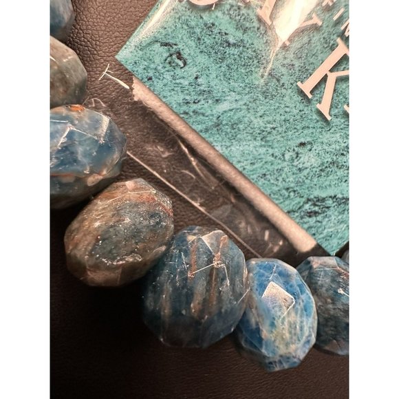 Jay King DTR Mine Finds Sterling Silver Blue Apatite Necklace & Earring Set - Picture 2 of 11